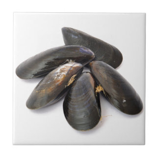 Mussel Ceramic Tile