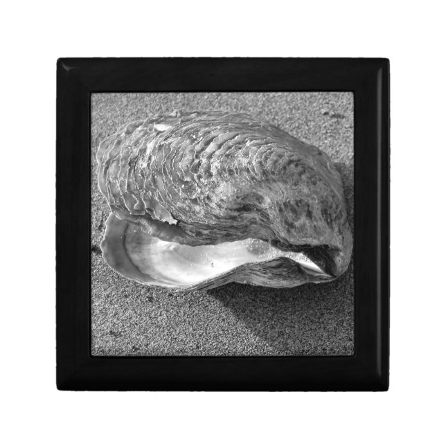 Mussel Sea Shell B&W Photo Gift Jewelry Box (Front)
