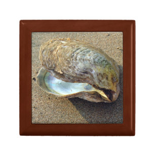 Mussel Sea Shell San Beach Photo Gift Jewelry Box