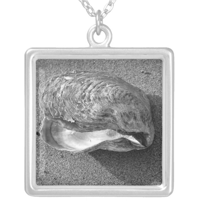 Mussel Seashell Beach Silver Necklace Pendant (Front)