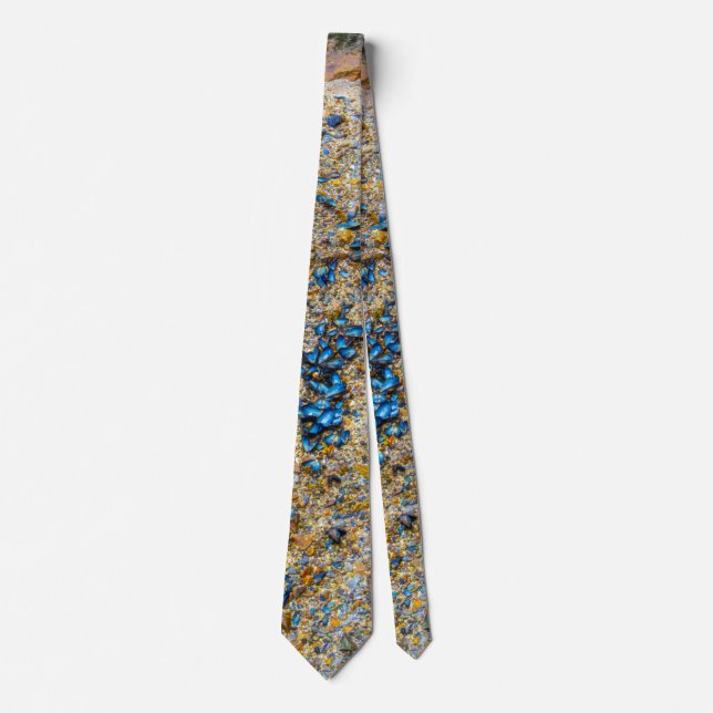 Mussel Shells in Maine Neck Tie (Front)