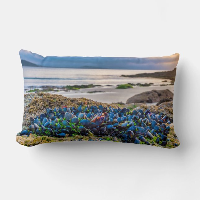 Mussels Lumbar Pillow (Front)