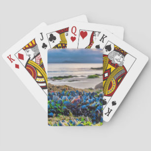 Mussels Poker Cards
