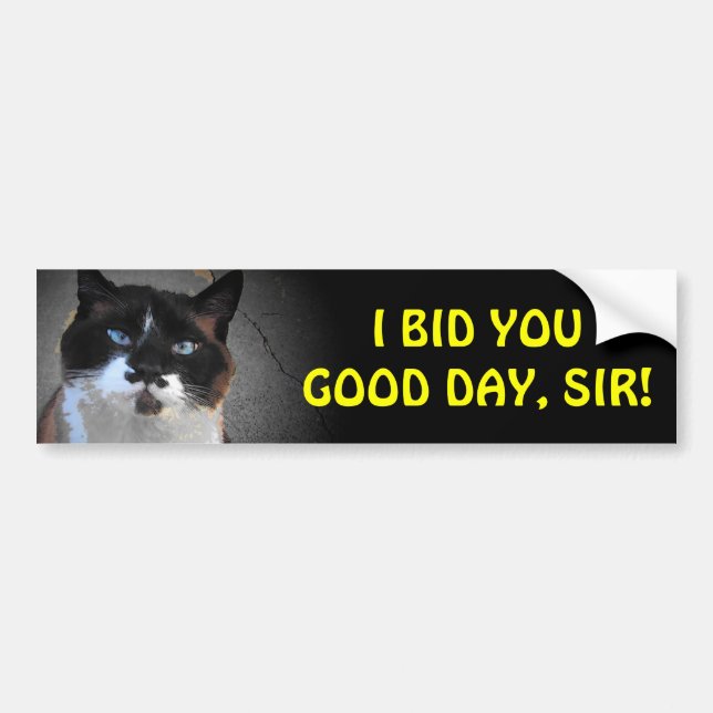 Mustache Cat Bids You Good Day, Sir Bumper Sticker (Front)