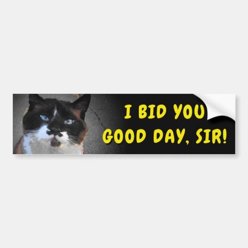 Mustache Cat Bids You Good Day Sir Meme Bumper Sticker