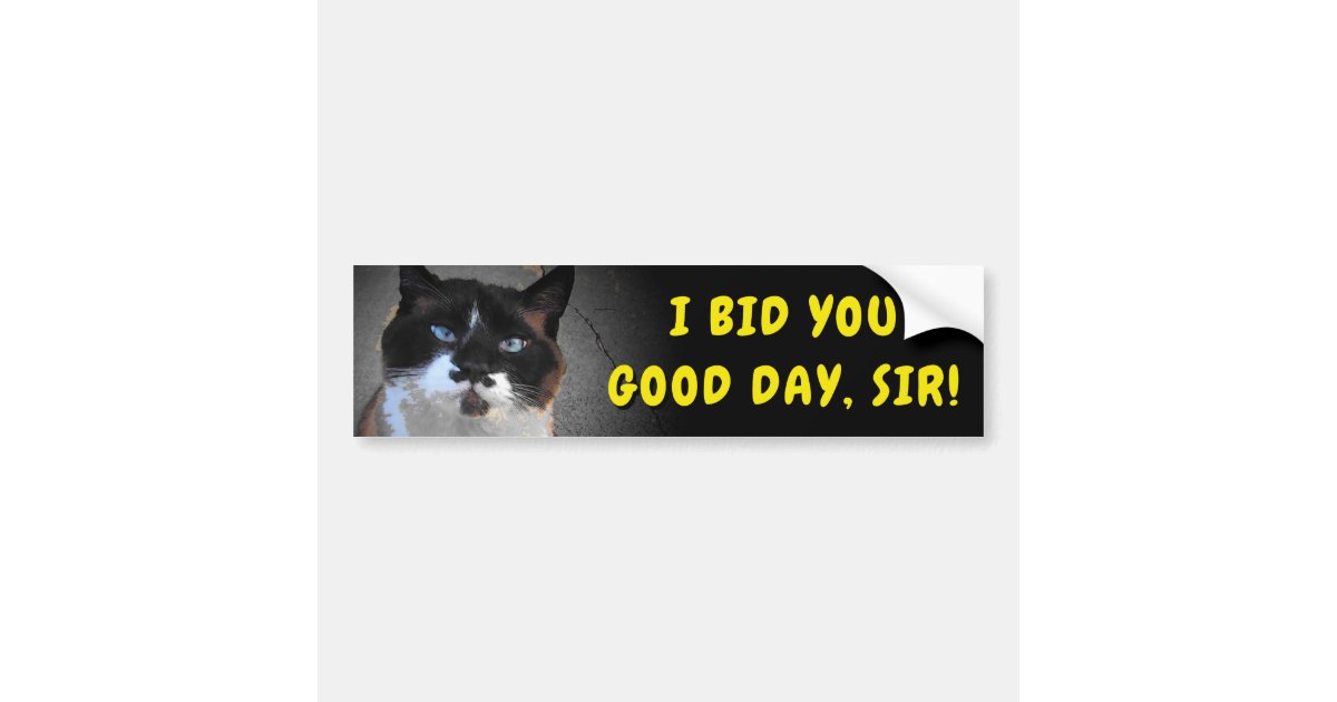 Mustache Cat Bids You Good Day Sir Meme Bumper Sticker Zazzle Com