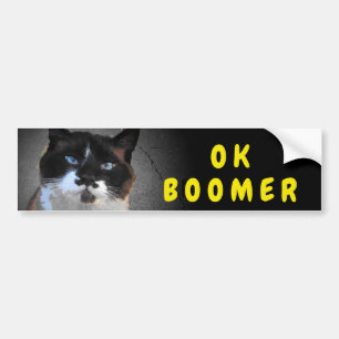 Mustache Cat Ok Boomer Meme Bumper Sticker