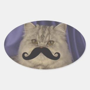 Mustache Qpc Template Oval Sticker