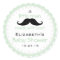 Mustache Sage Green Baby Shower