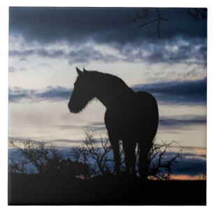 Mustang and Storm Fine Art Ceramic Tile