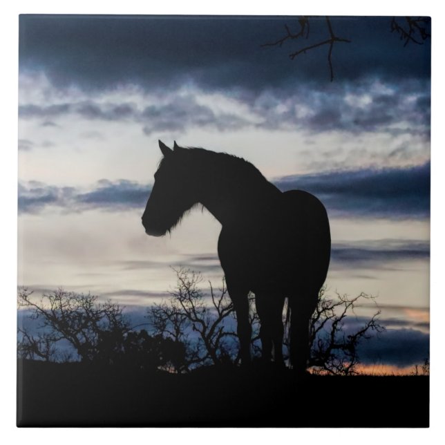 Mustang and Storm Fine Art Ceramic Tile (Front)