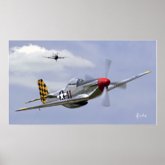 Mustang and Thunderbolt Poster