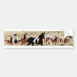 Mustang Bumper Sticker