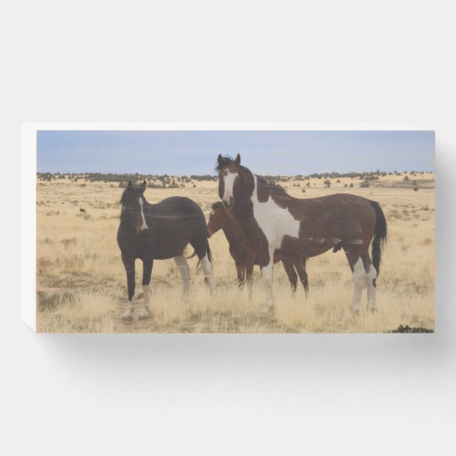 Mustang family  wooden box sign (Front Horizontal)