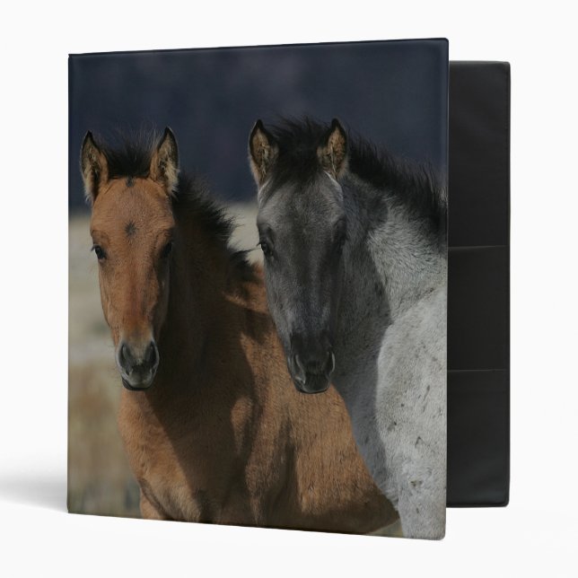 Mustang Foal Headshot Binder (Front/Inside)