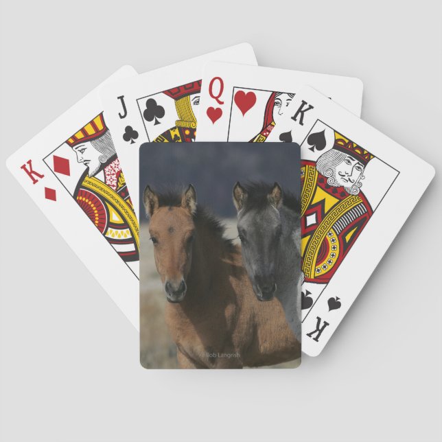 Mustang Foal Headshot Poker Cards (Back)