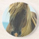 Mustang Horse Coasters