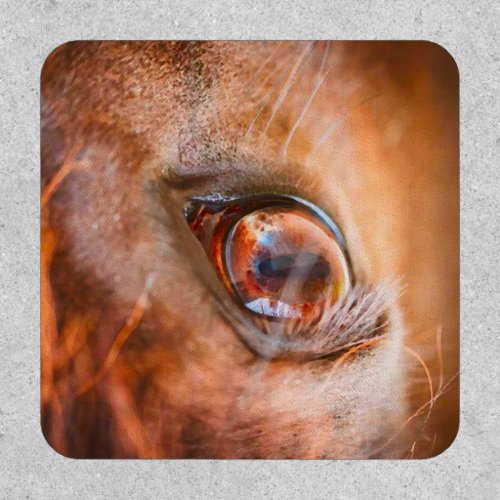 mustang horse eye patch