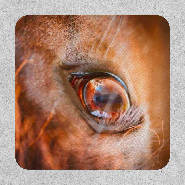 mustang horse eye patch (Front)