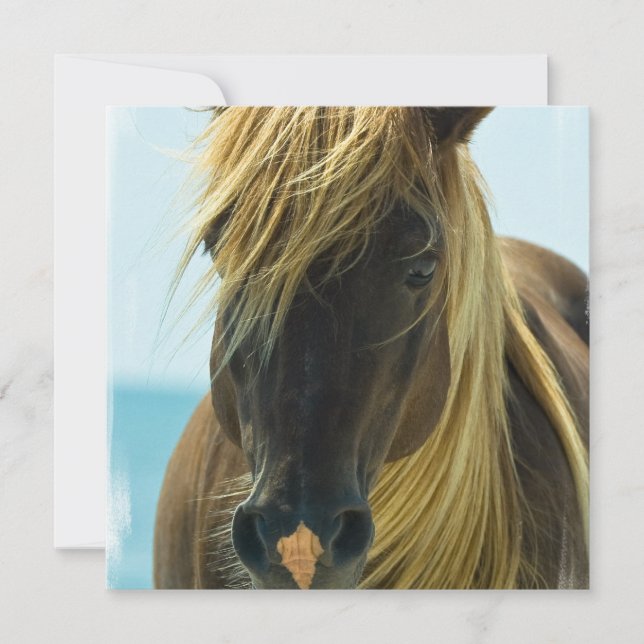 Mustang Horse Invitation (Front)