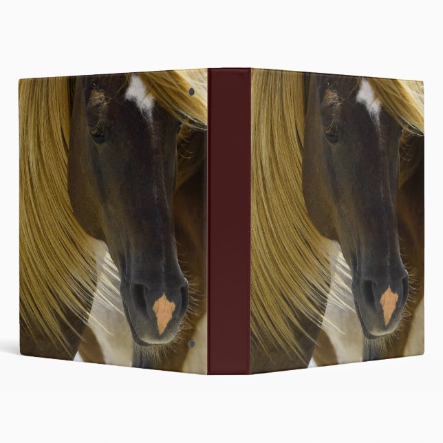 Mustang Horse Photo Binder (Background)