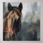 Mustang Horse Poster Print