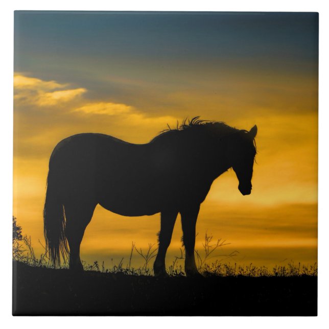 Mustang in Sunset Art Tile (Front)
