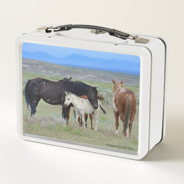 Mustang Lunch Box (Back)