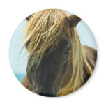 Mustang Magnet