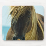 Mustang Mouse Pad