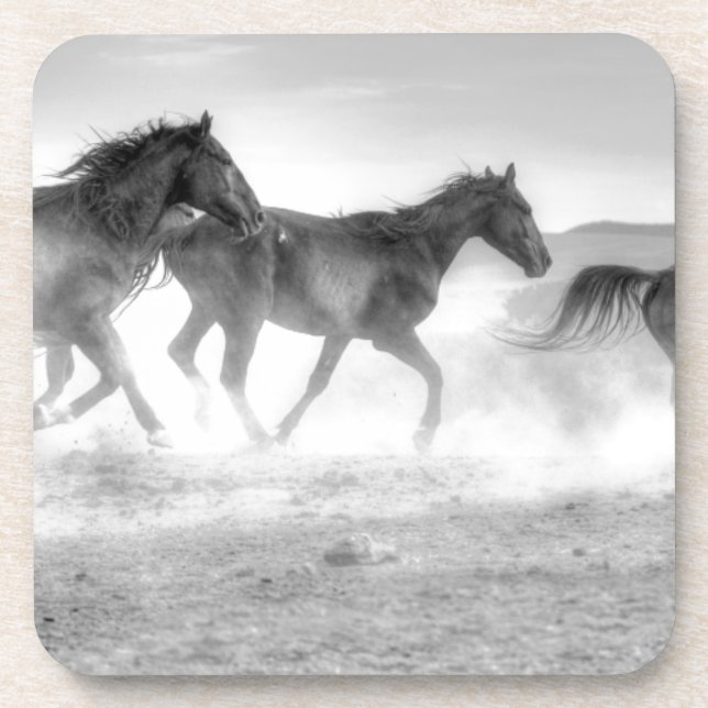 Mustang Run Beverage Coaster (Front)