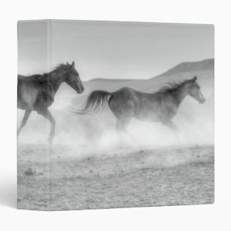 Mustang Run Binder