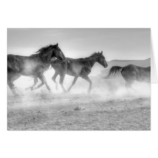 Mustang Run Cards (Front Horizontal)