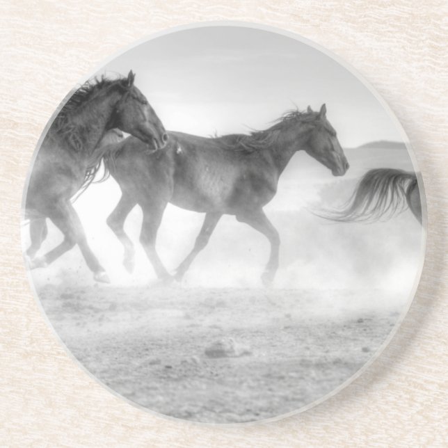 Mustang Run Coaster (Front)