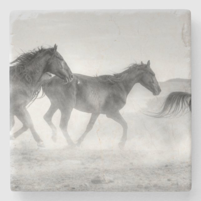 Mustang Run Stone Coaster (Front)