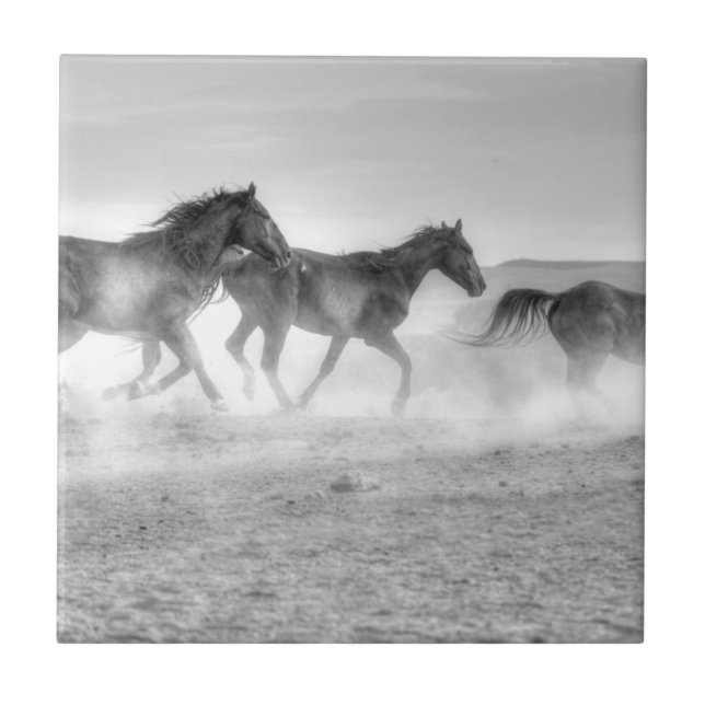 Mustang Run Tile (Front)
