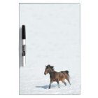 Mustang Running in Snow Dry Erase Board