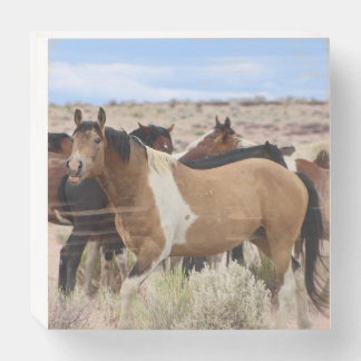 Mustang Smiles Wooden Box Sign