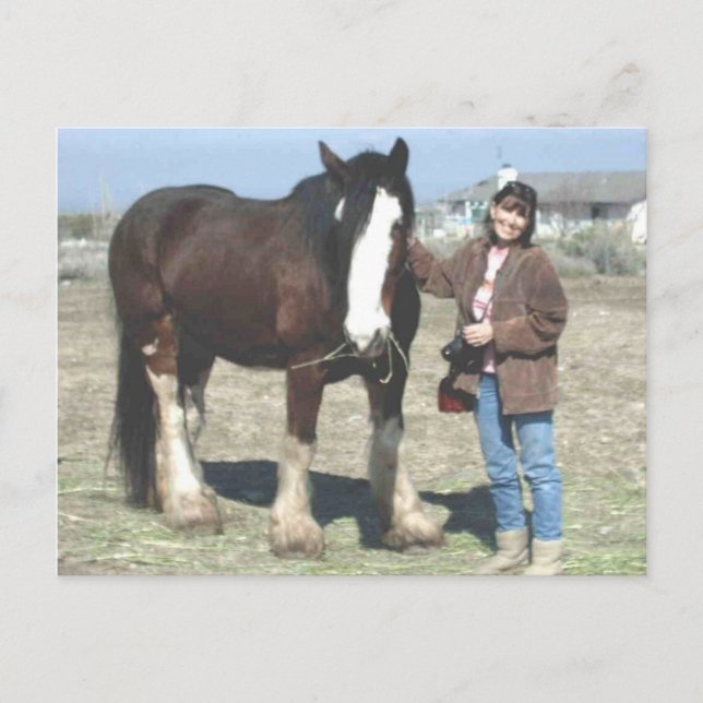 Mustang-Spirit Post Card (Front)