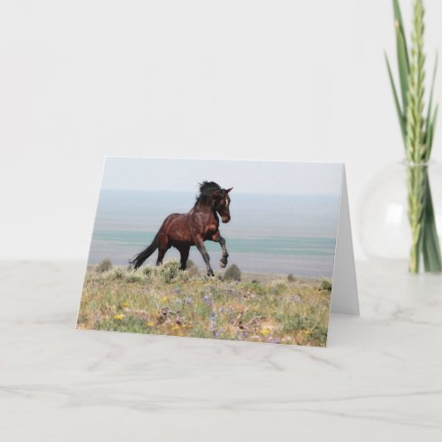 Mustang Stallion, Clancy- Greeting Card