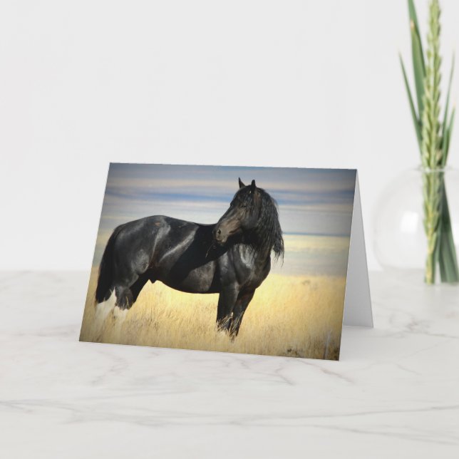 Mustang Stallion greeting card. Card (Front)