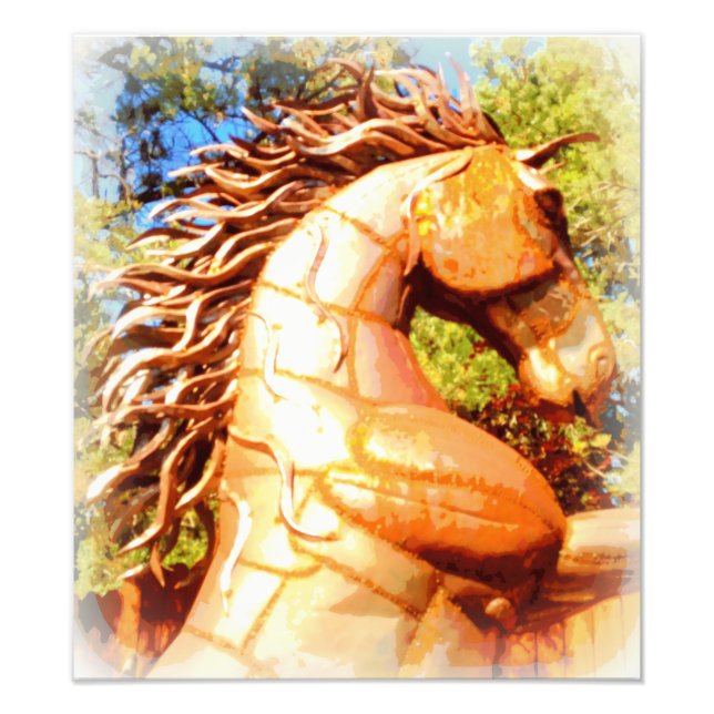 mustang stallion photo print (Front)