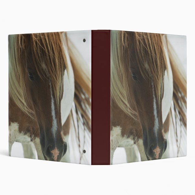 Mustang Wild Horse Binder (Background)