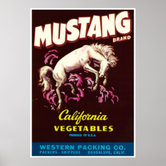 Mustang Wild Horse Guadalupe California Vegetables Poster
