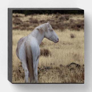 Mustang Wooden Box Sign