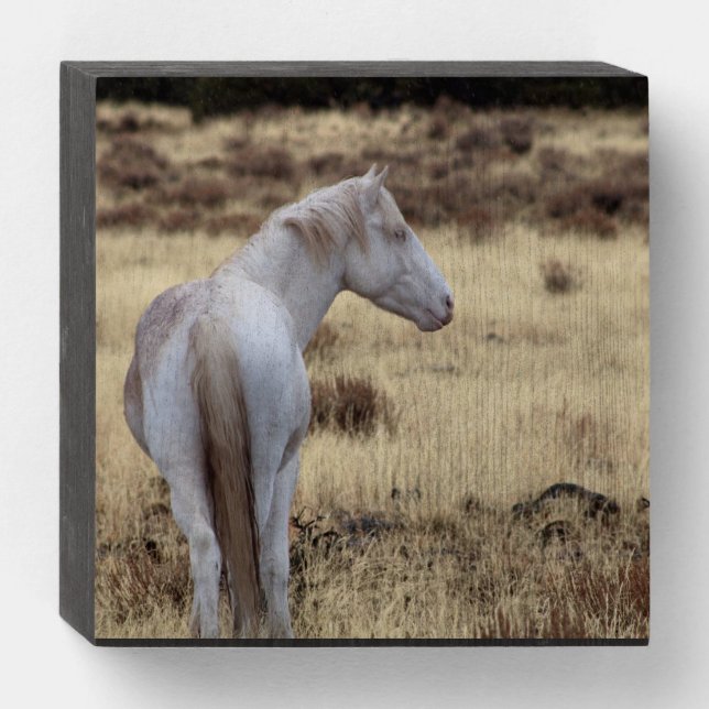 Mustang Wooden Box Sign (Front Horizontal)