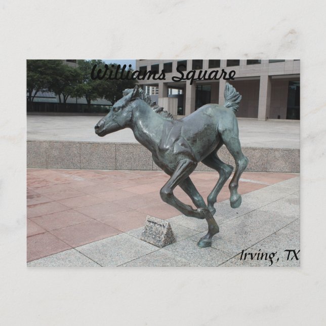 Mustangs of Las Colinas # 13 Postcard (Front)