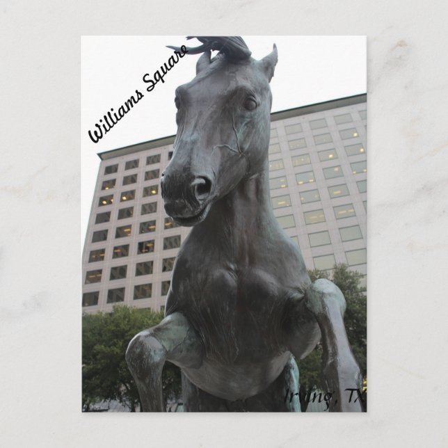 Mustangs of Las Colinas # 17 Postcard (Front)