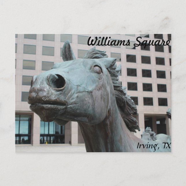 Mustangs of Las Colinas # 22 Postcard (Front)