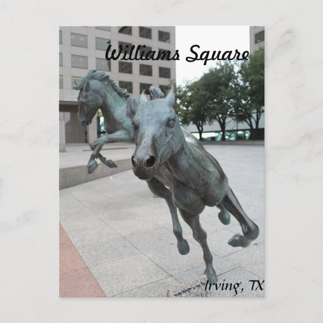 Mustangs of Las Colinas # 29 Postcard (Front)